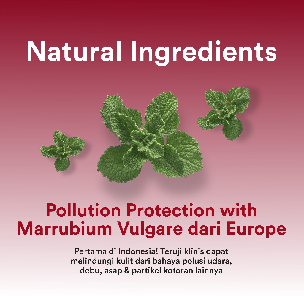 Studio Tropik Bb Size Dream Setter Pollution Protection + Make-up Setting Spray 30ml - Glowy