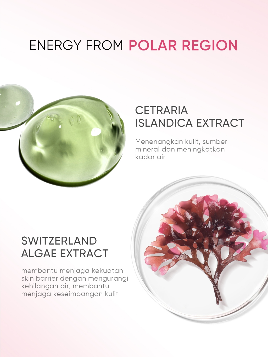 Skintific Ice Sorbet Makeup Remover 100gr