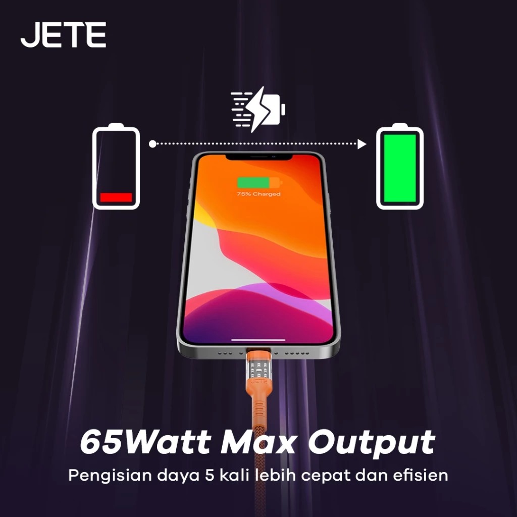 JETE Kabel CX11 - Micro Black 2.4A