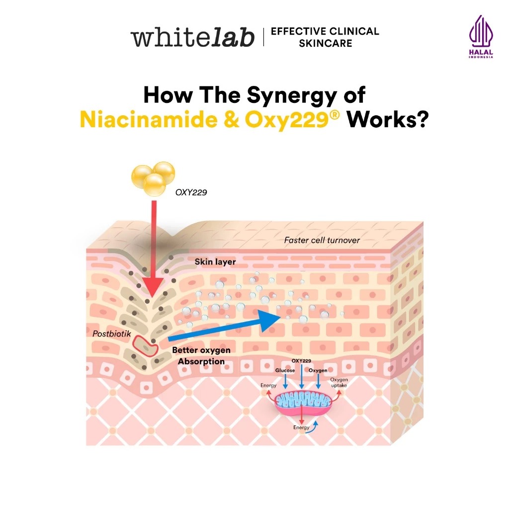 WHITELAB Hyperbright Moisturizer 20gr