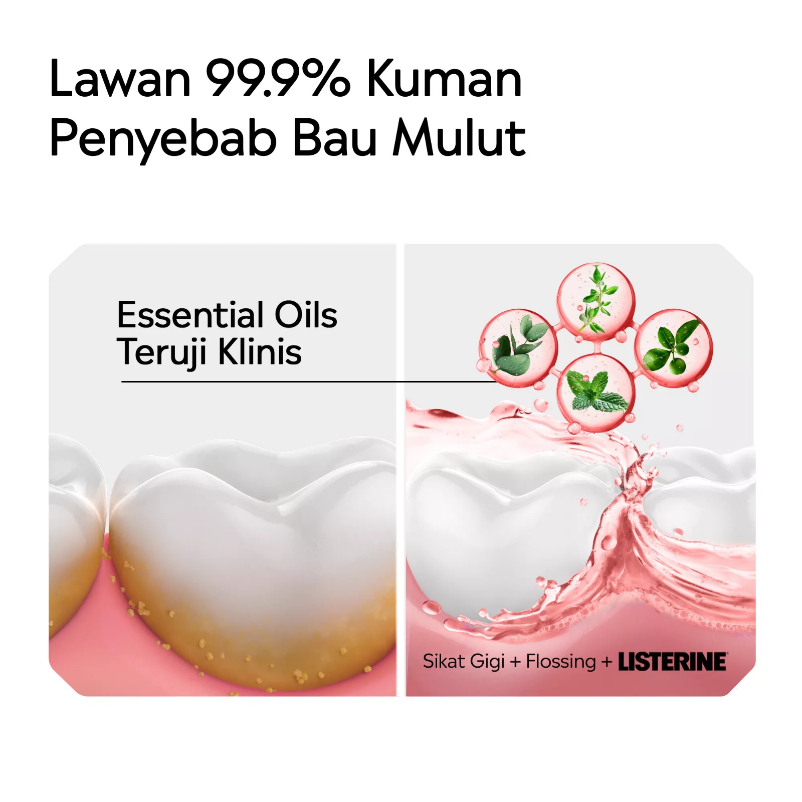 Listerine Antiseptic Mouthwash - Watermelon Mint 250ml