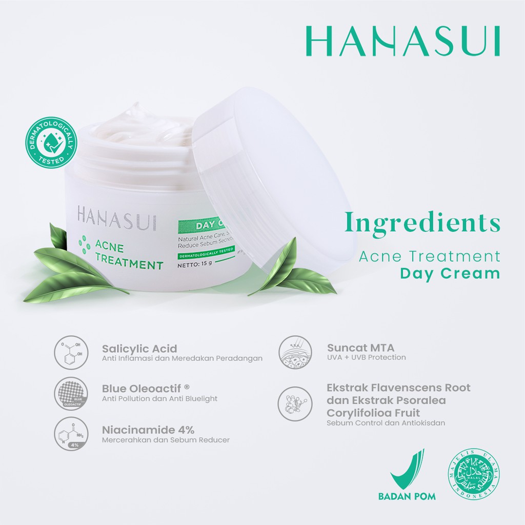 HANASUI Acne Treatment Day Cream 15gr