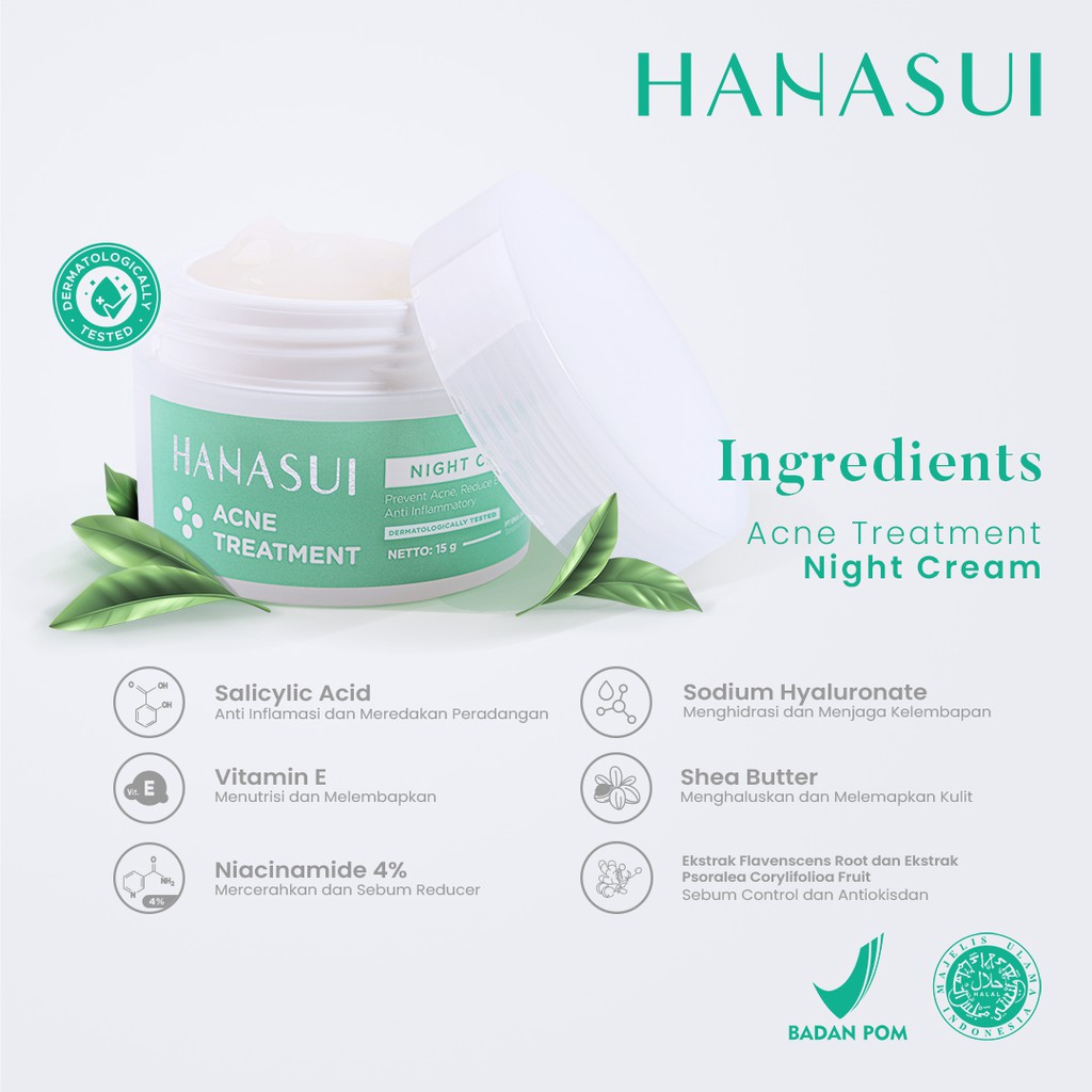 HANASUI Acne Treatment Night Cream 15gr