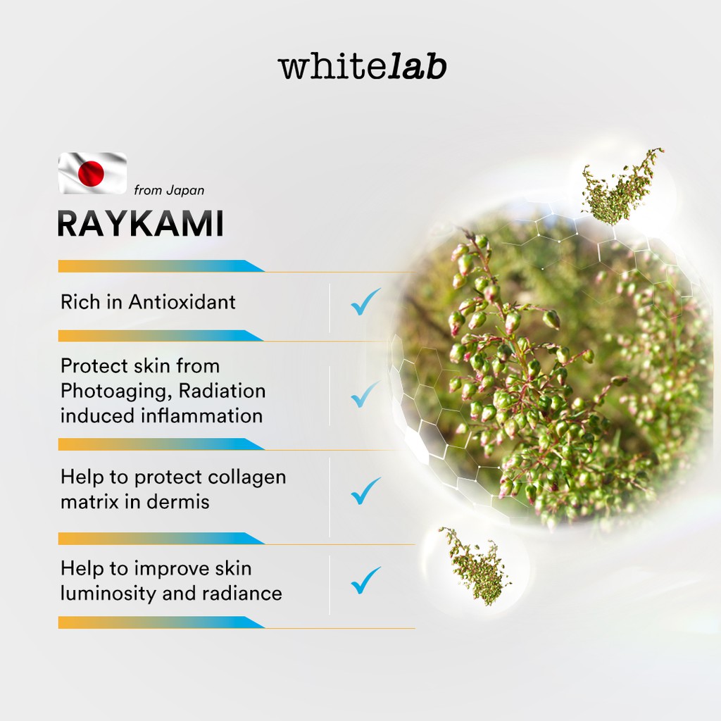 WHITELAB UV Shield Tank Sunscreen Gel SPF50++ PA++++ 30gr