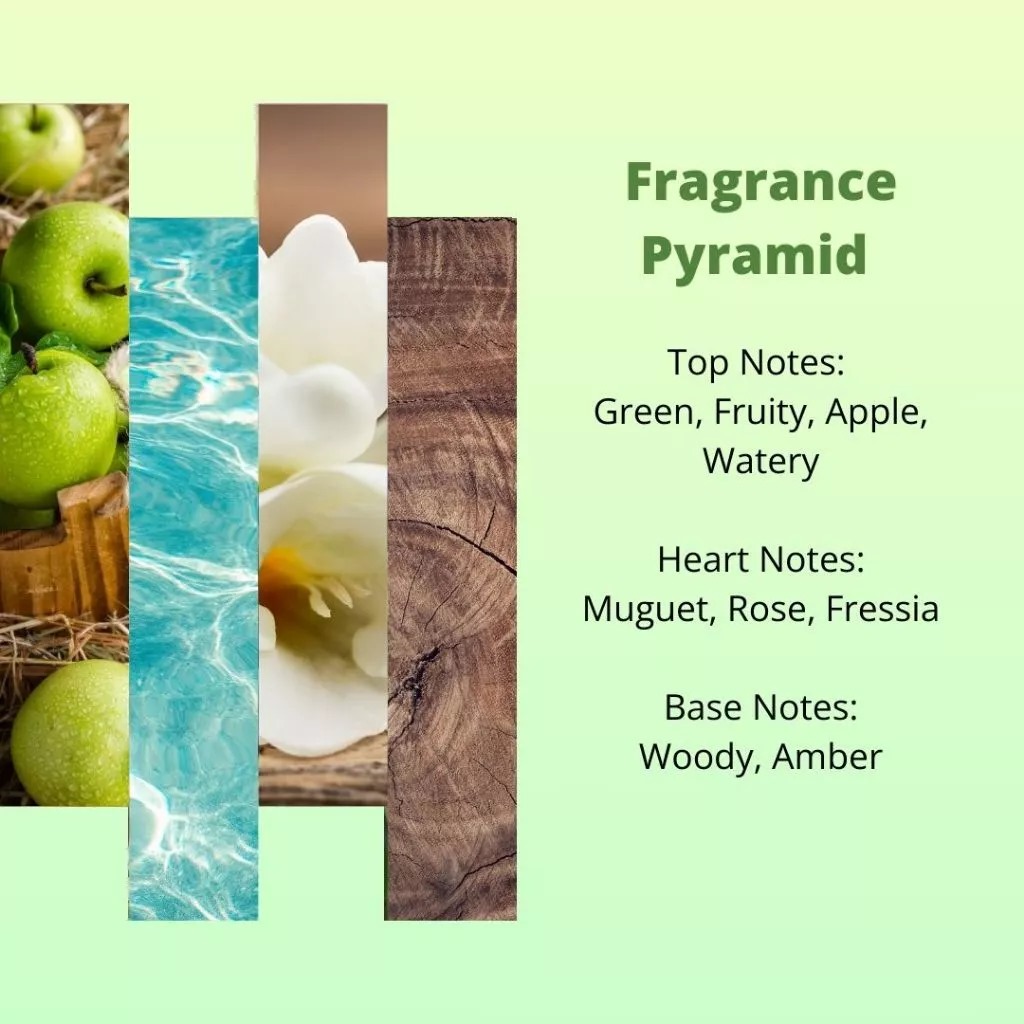 Kris Hand & Body Lotion 100ml - Nourished Care