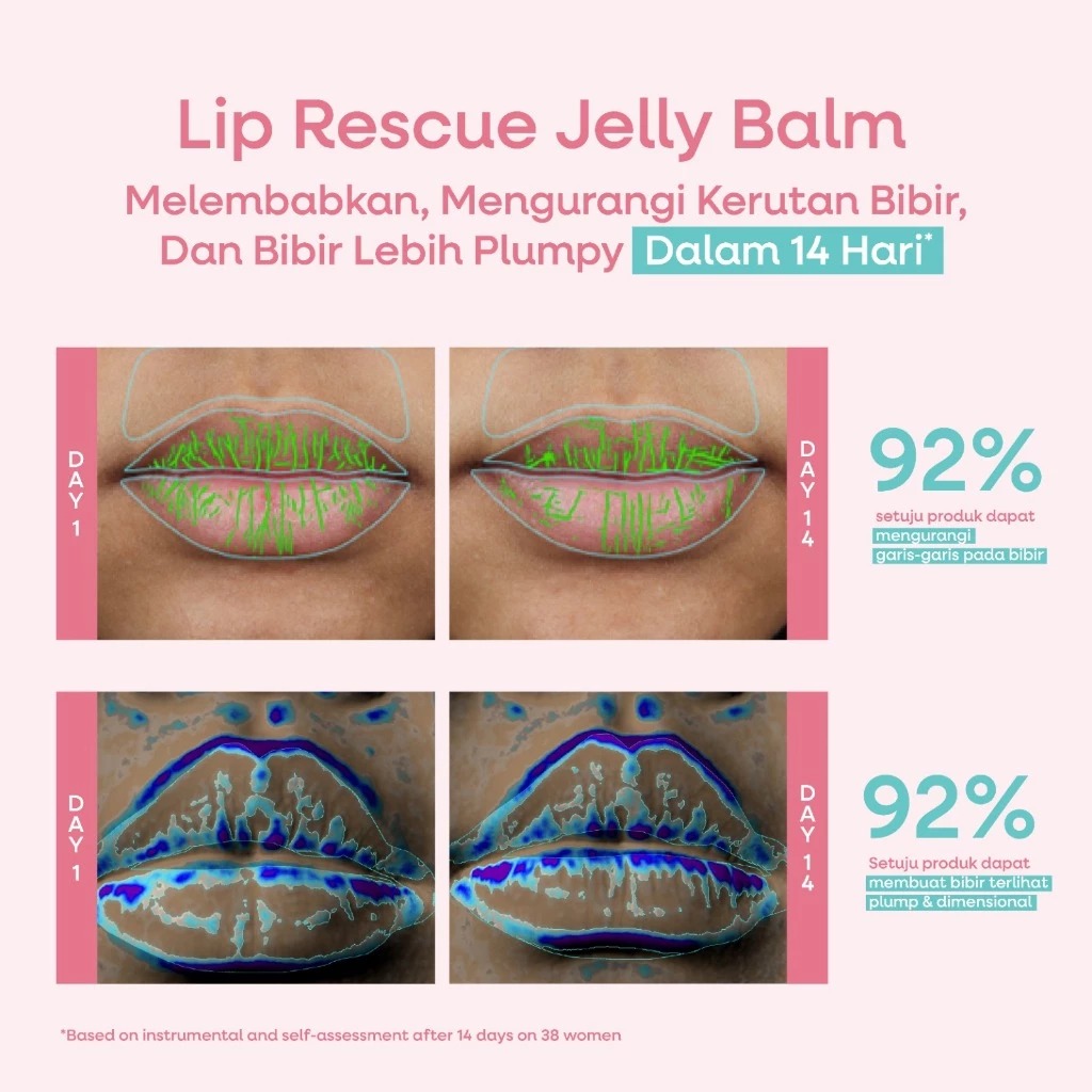 Wardah Lip Rescue Jelly Balm Dusty Rose 9gr