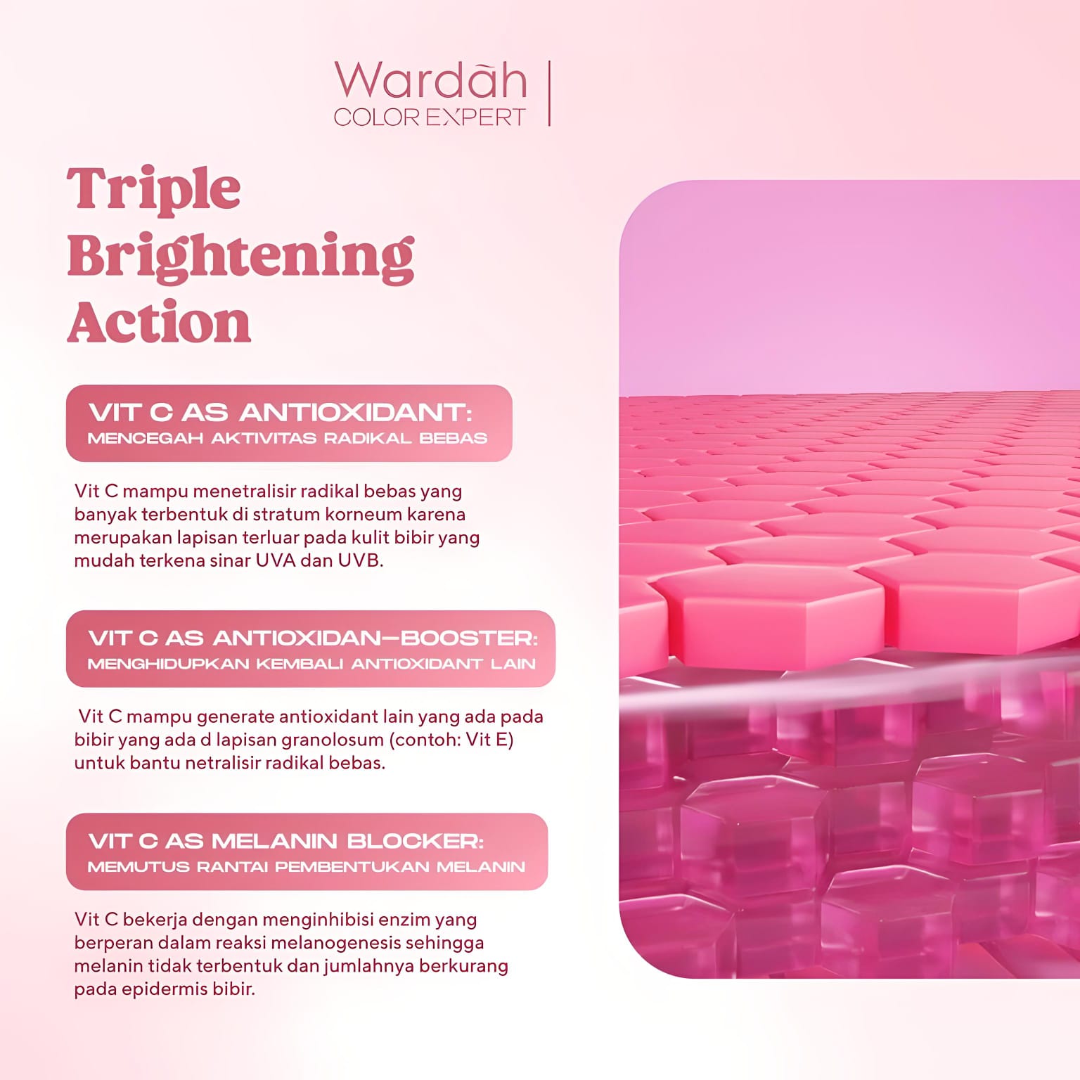 Wardah Lip Rescue Jelly Balm Dusty Rose 7gr