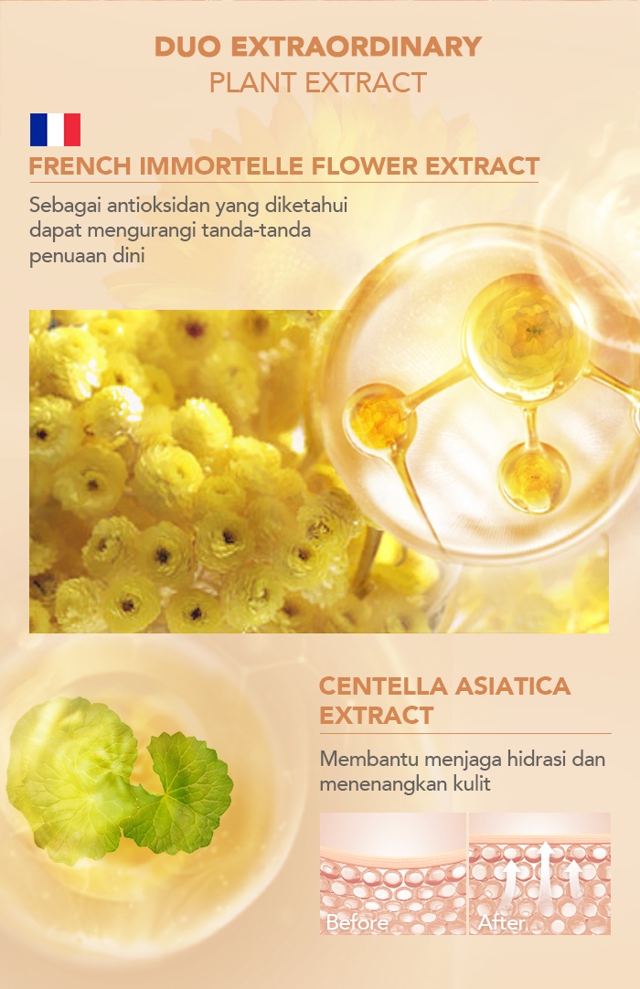 YOU Noutriwear+ Flawless Cushion Foundation REFILL - W703 Warm Ivory *