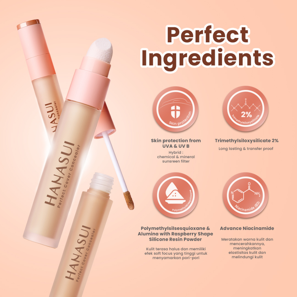 Hanasui Perfect Cover Concealer 4.5gr - 02 Ivory