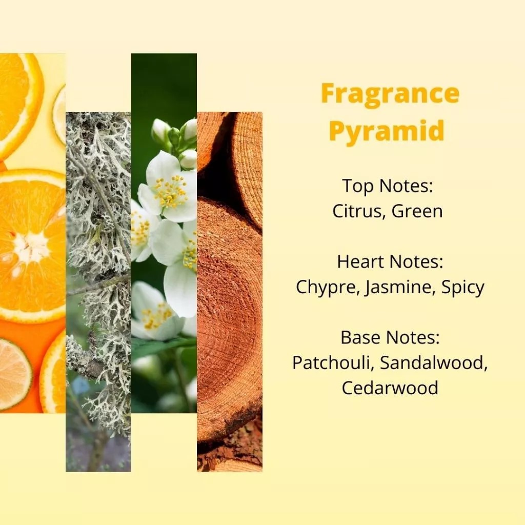 Kris Hand & Body Lotion 100ml - Daily Moisture