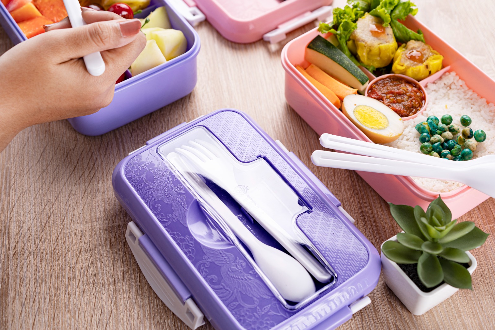 TRI J - Lunch Box 4in1 - PUTIH (Free Sendok dan Garpu)