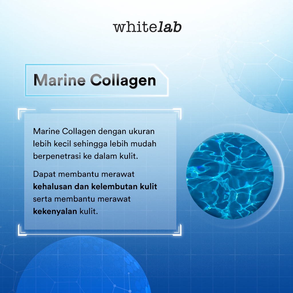 WHITELAB Cera-Mug Barrier Moisturizing Gel 20gr WHITELAB Cera-Mug Barrier Moisturizing Gel 20gr
