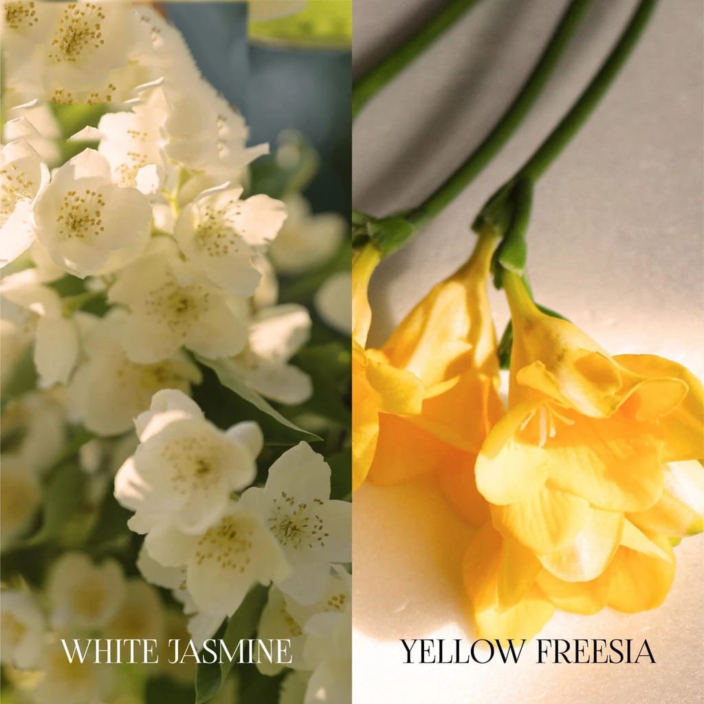 Pucelle Eau De Luxe Cologne 100ml - Lucent