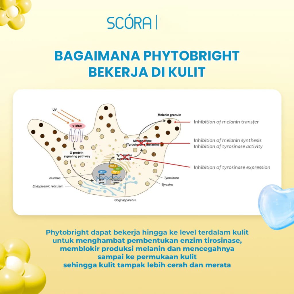 Scora Phytobright Gentle Low pH Cleanser 100gr