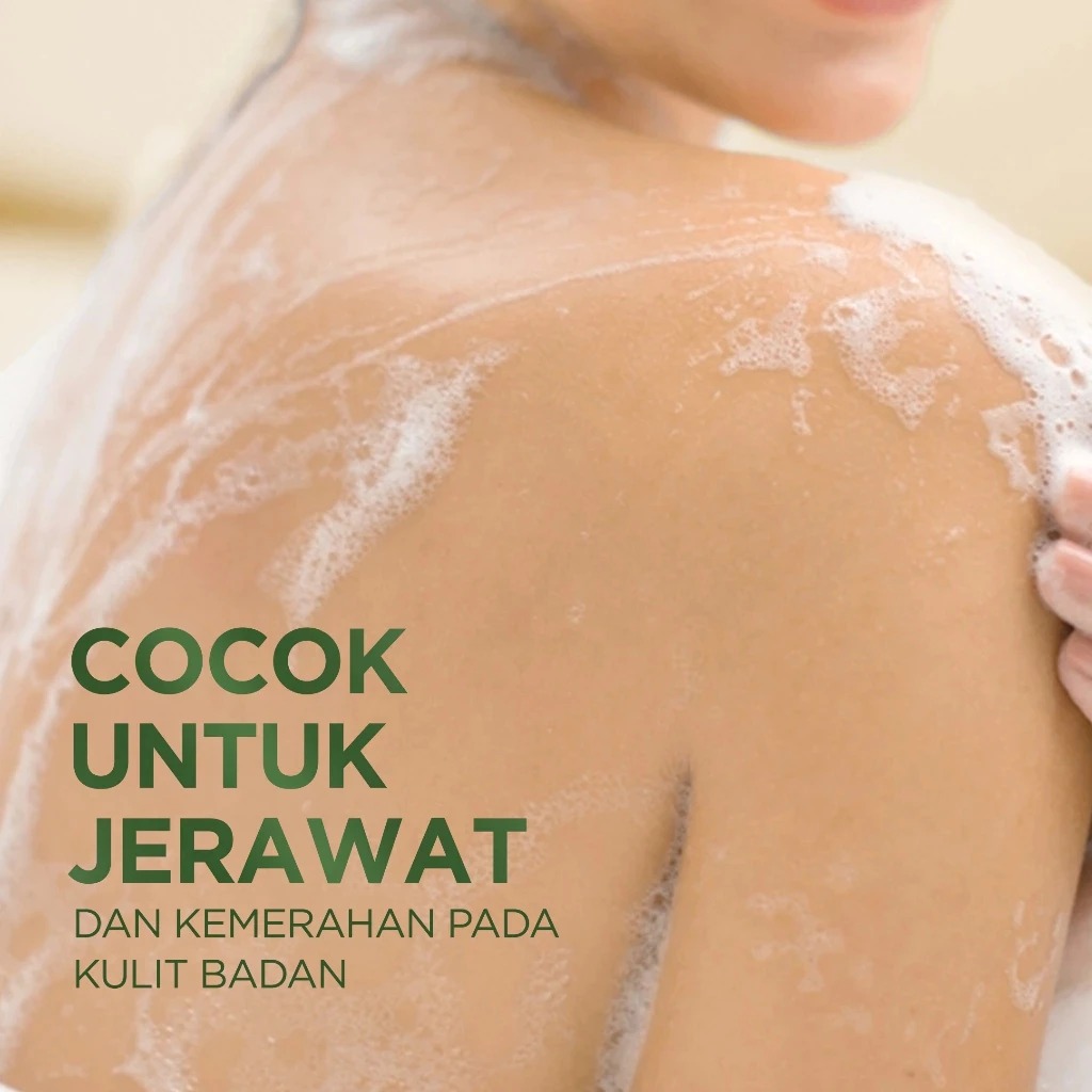 Acnaway Mugwort Acne Clear Bar Soap 100gr