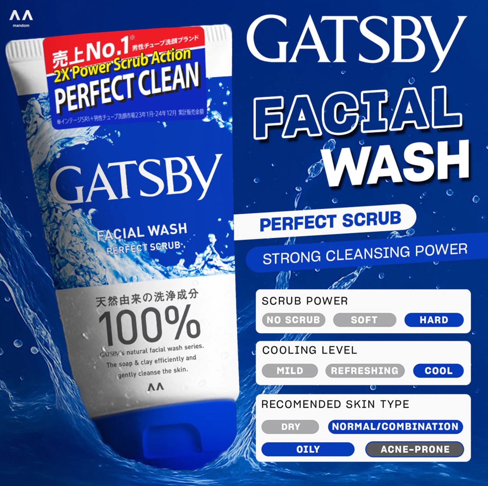 Gatsby Facial Wash 100ml - Perfect Scrub (Strong Cleansing Power)