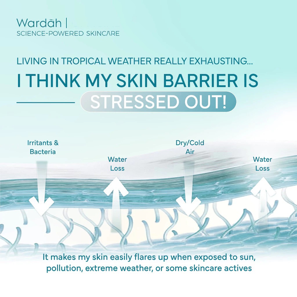 Wardah Madecassoside Ectoin Barrier Calming Toner Pad 50pcs 100ml